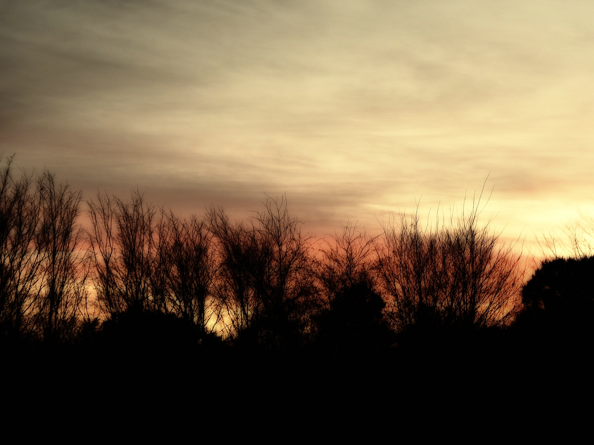 Compressed_0230.jpg