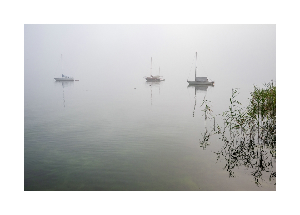 Compressed_0832.jpg