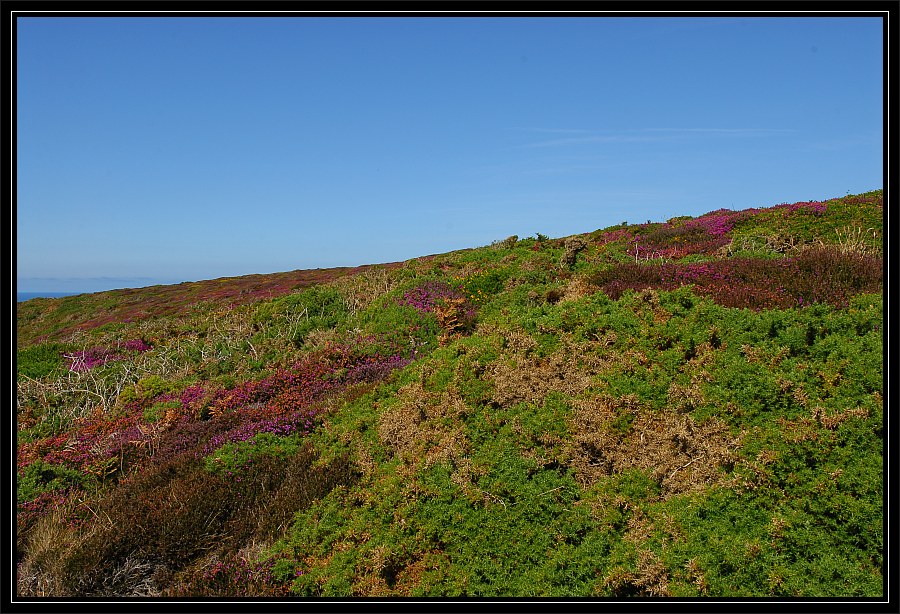cornwall 2