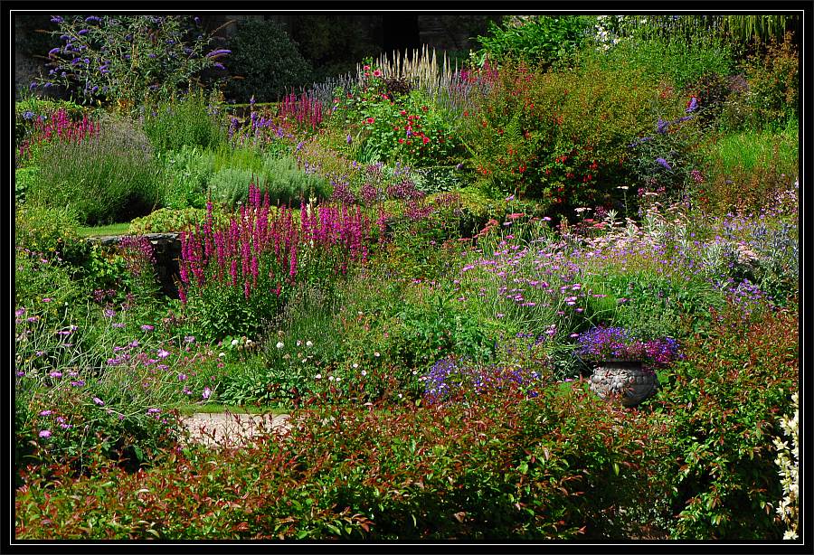 cotehele 4