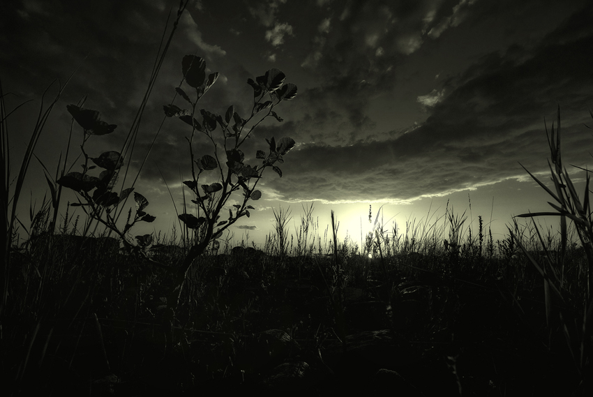 country of thornes II