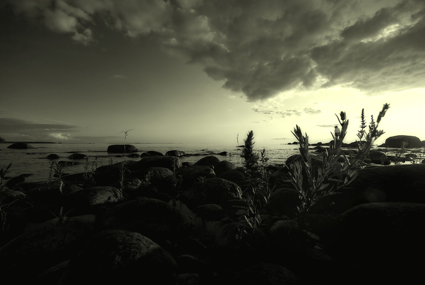 country of thornes III
