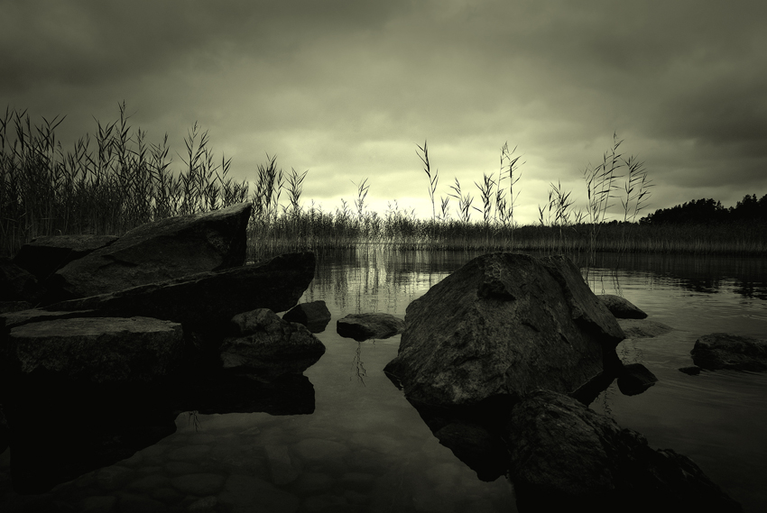 country of thornes