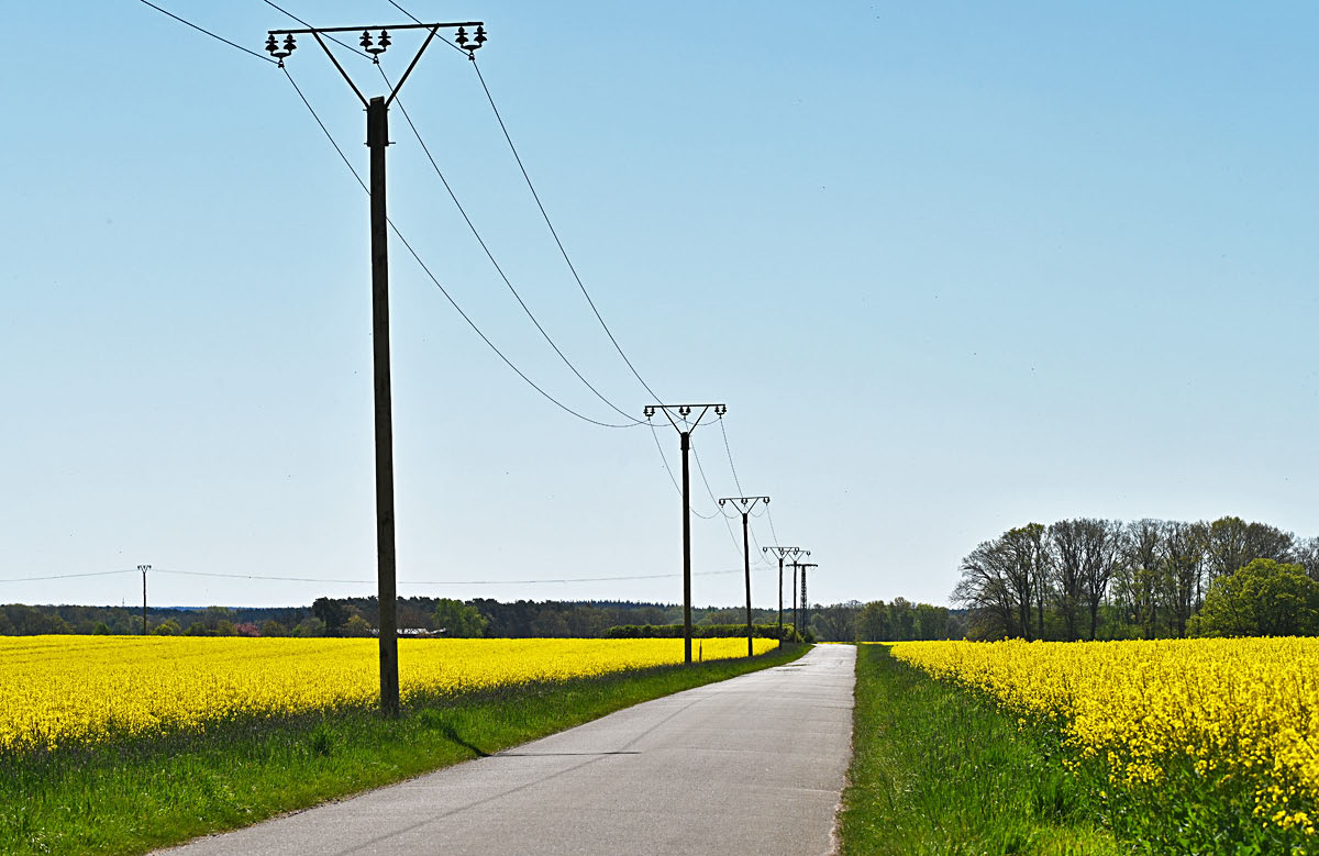 Country Road.jpg