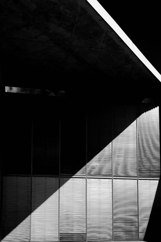 cpDSC 0021 sw
