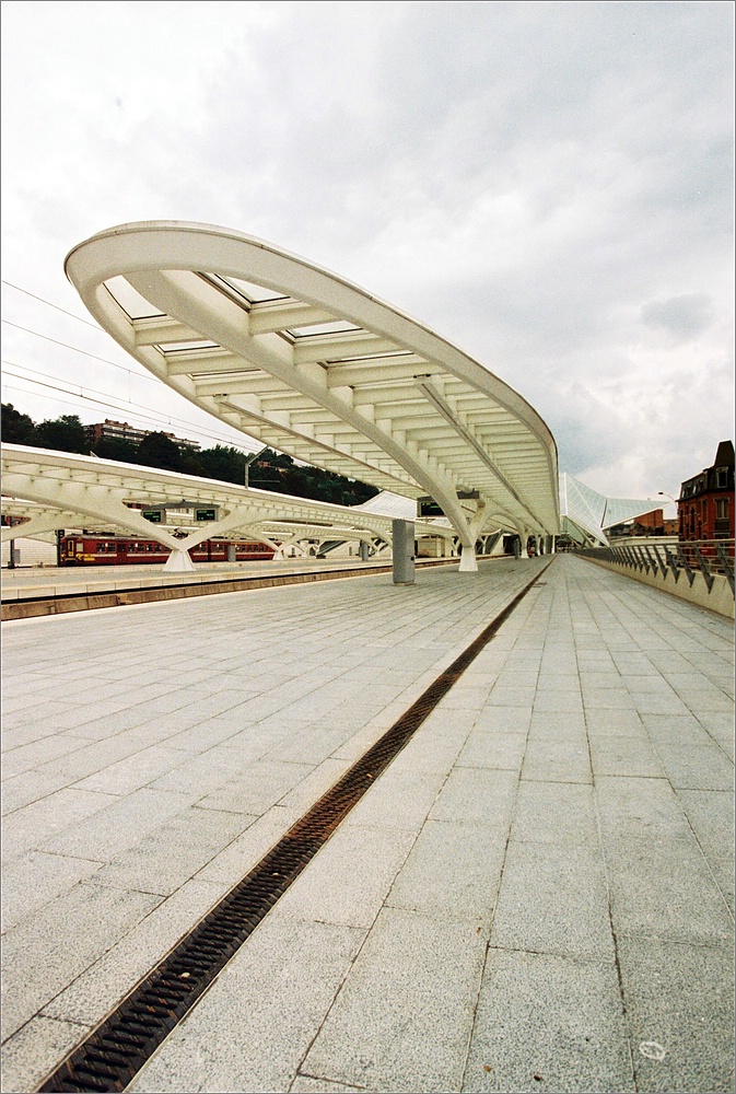 cR 008A