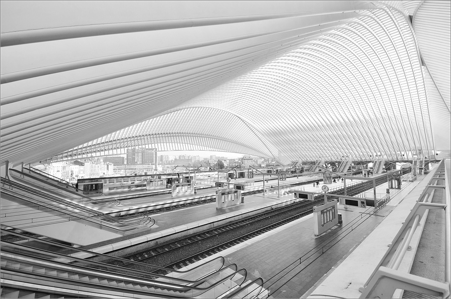 cR 10mm 4691