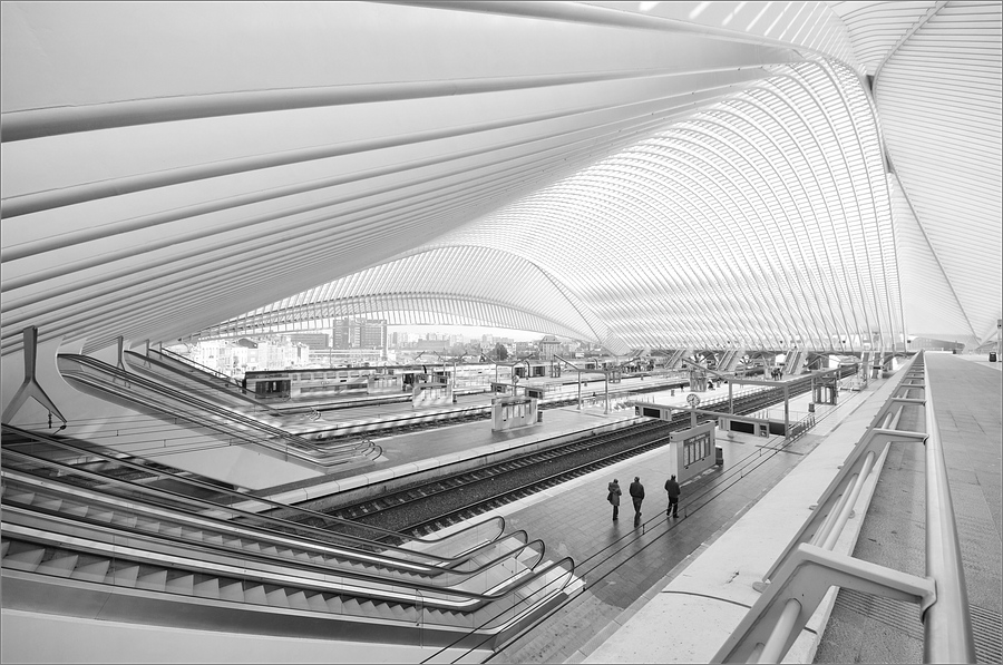 cR 8mm 4690