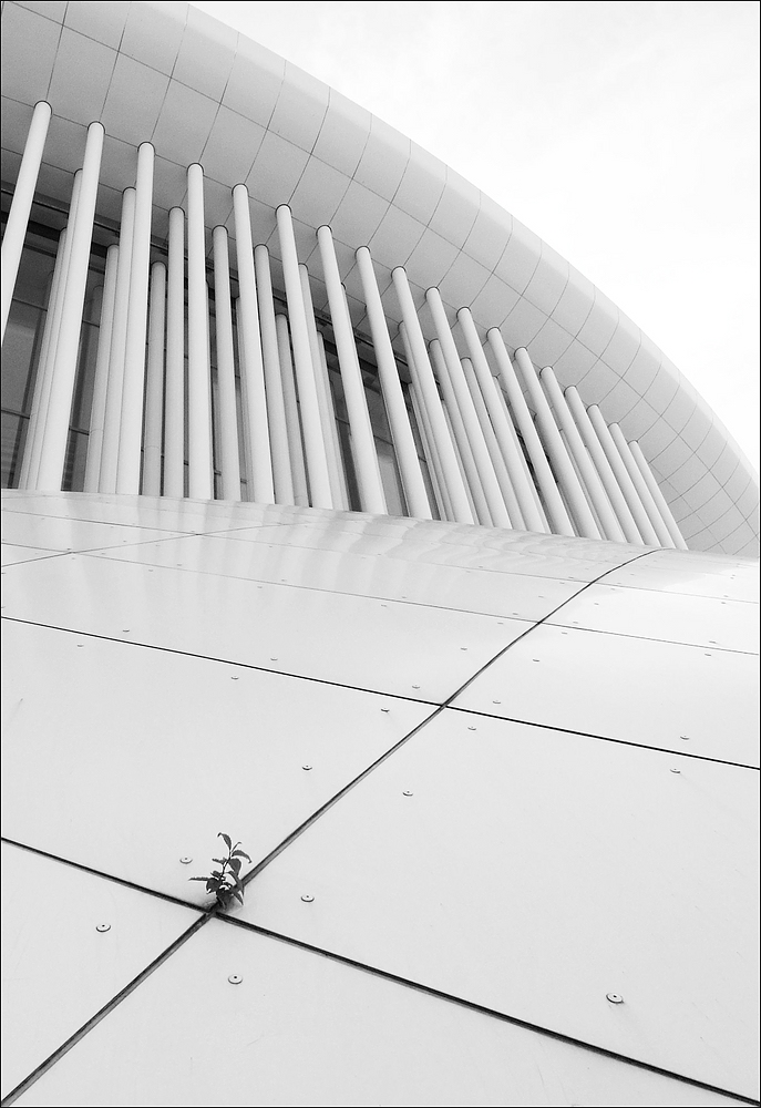 cR Philharmonie Unkraut 9209