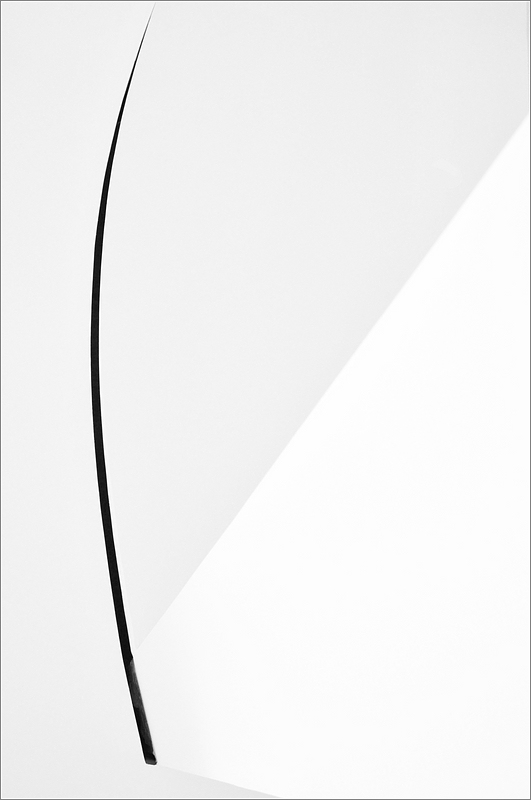 cR Schattenfuge 7389