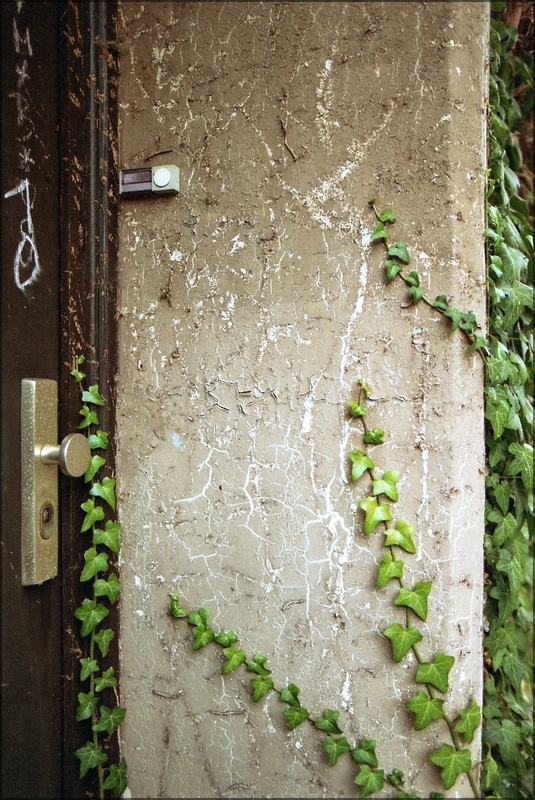 cR140905   010 1