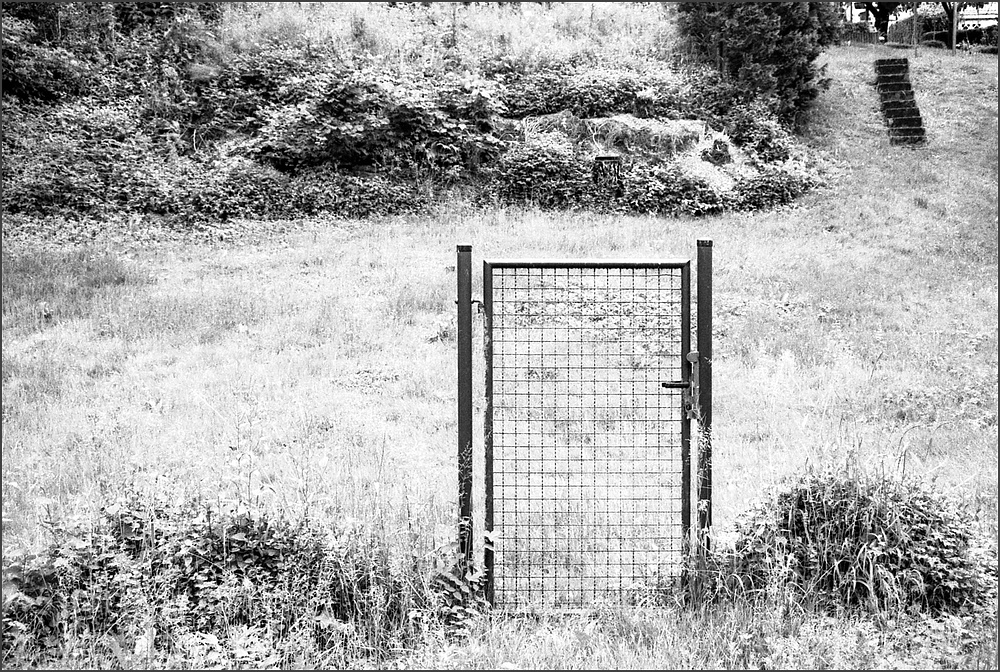 cR160623 005 1