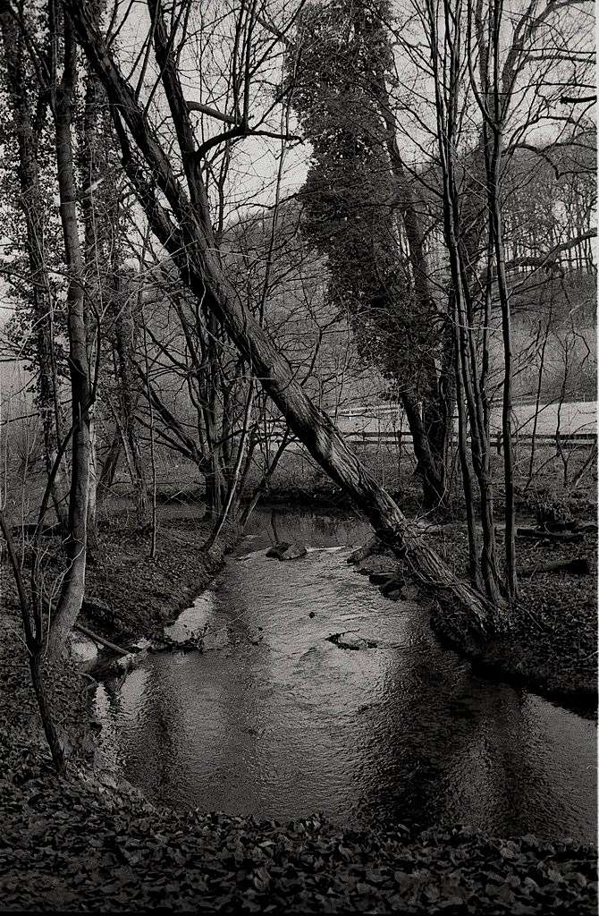 creek2