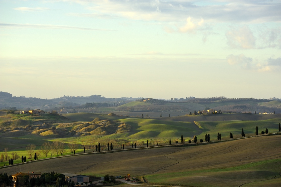 Crete Senesi 034