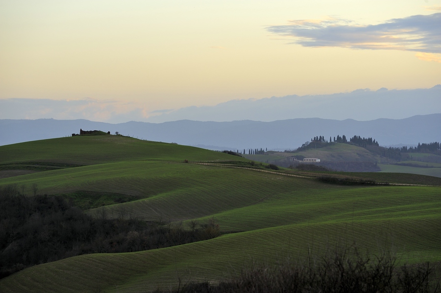 Crete Senesi 036