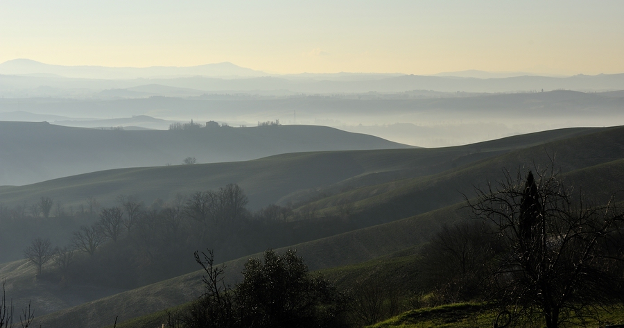 Crete Senesi 041