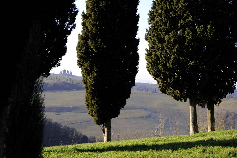 Crete Senesi 043