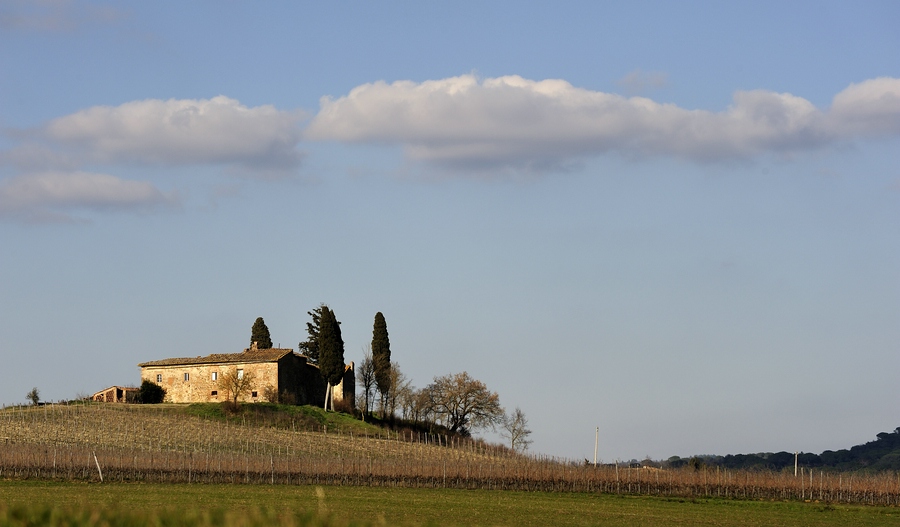 Crete Senesi 048