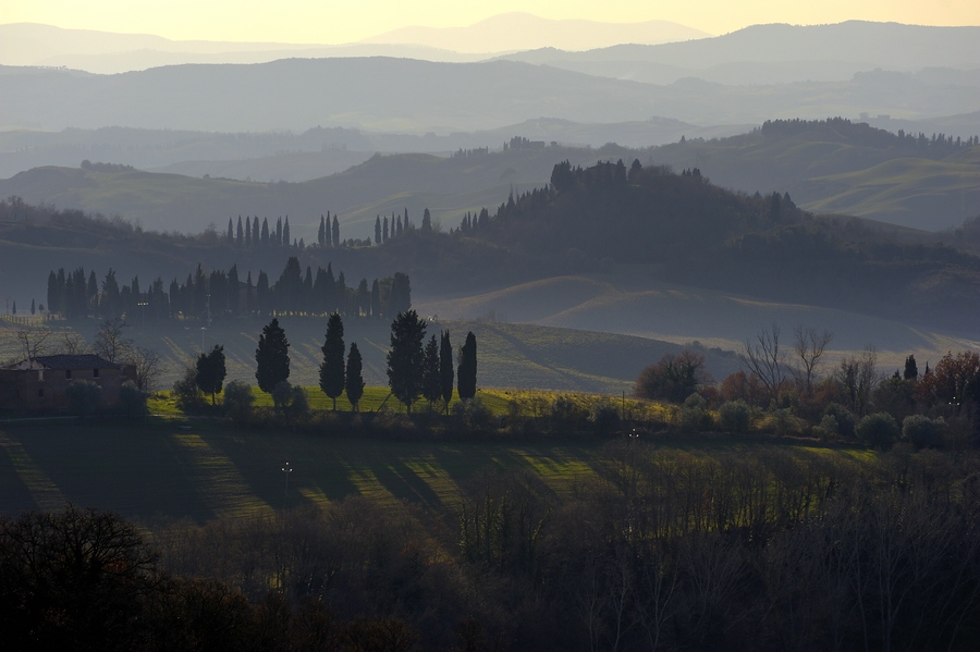 Crete Senesi 049