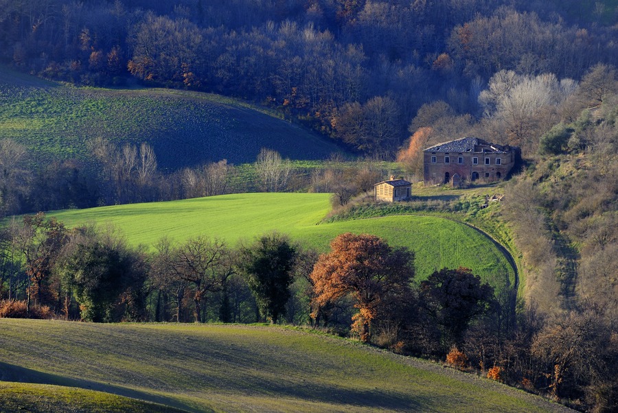 Crete Senesi #10