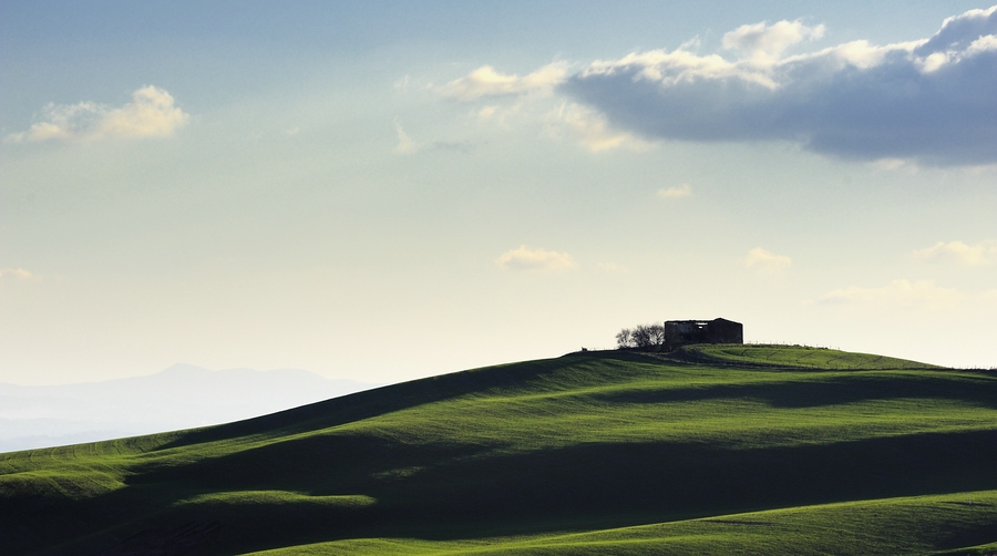 Crete Senesi #13