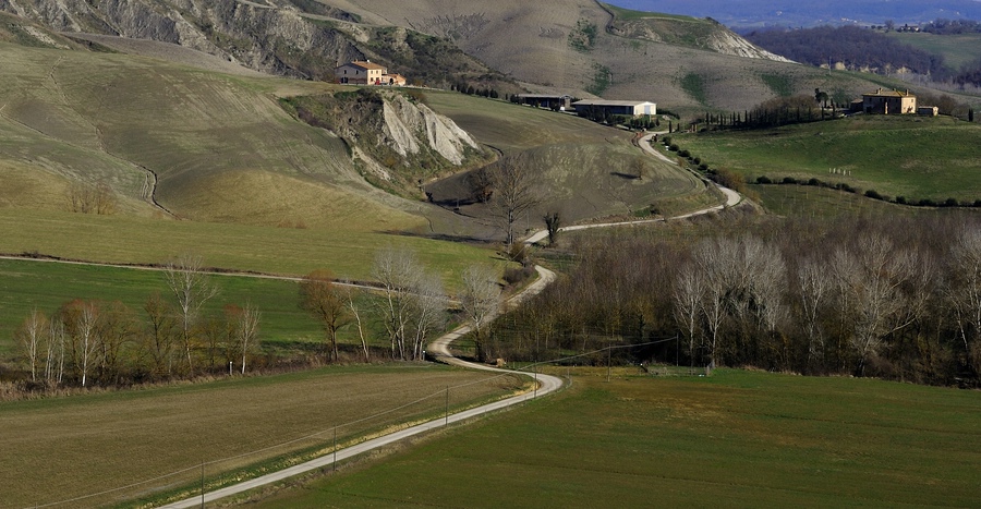 Crete Senesi #25