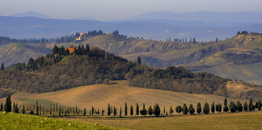 Crete Senesi #33
