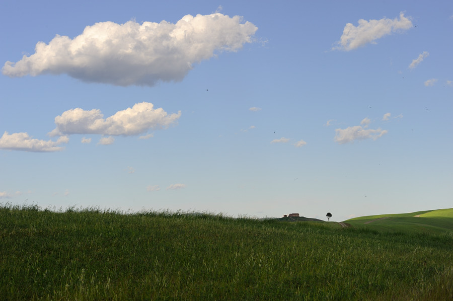 Crete Senesi