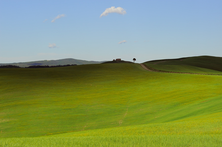 Crete Senesi