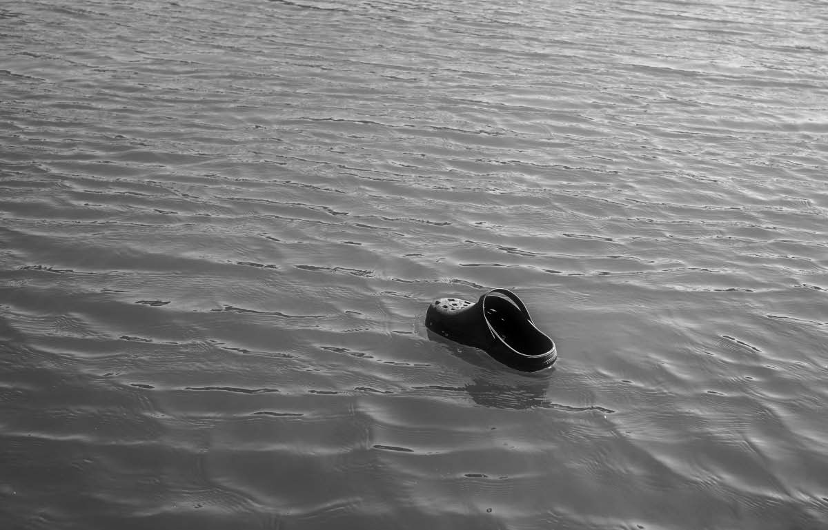Croc Sailing 3 BW.jpg