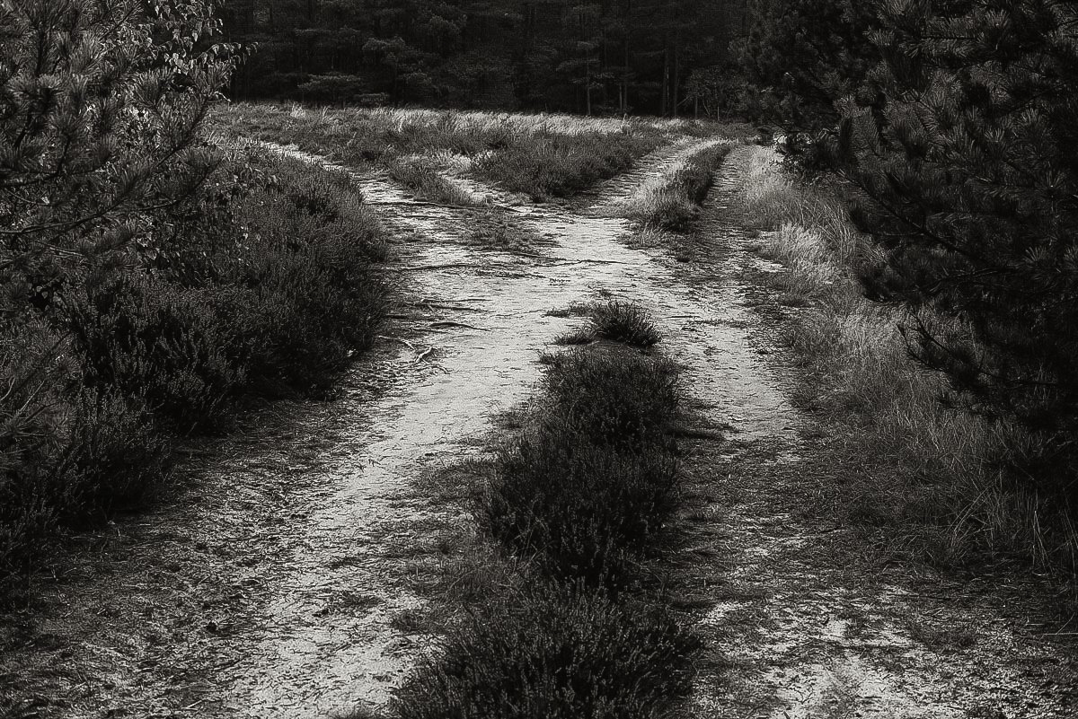 Crossroads (1 von 1).JPG
