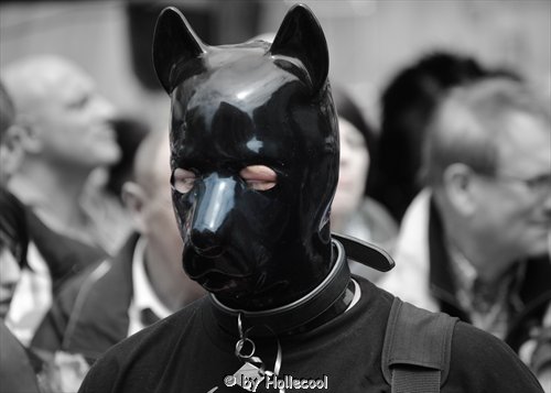 csd13