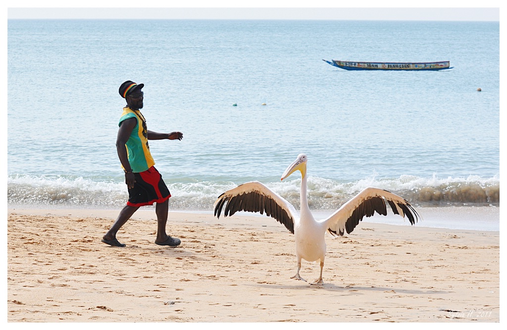 ct17Senegal 1 370b