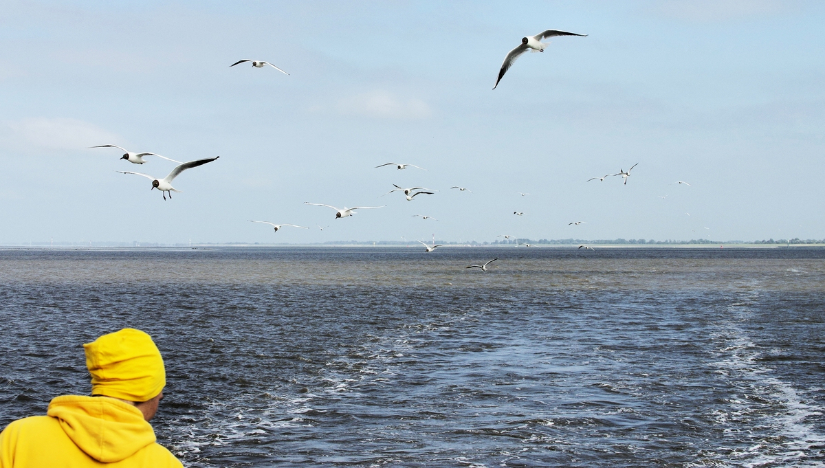 Cuxhaven ade.jpg