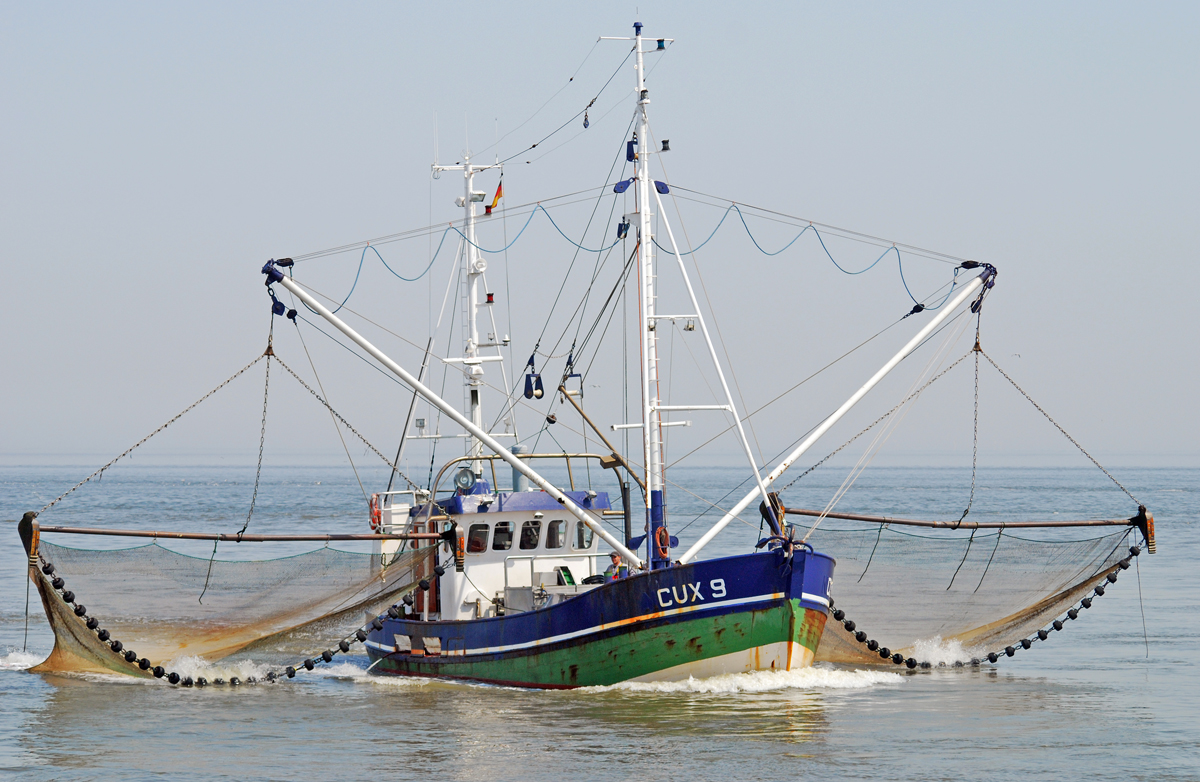 cuxhaven_fischer_1.jpg