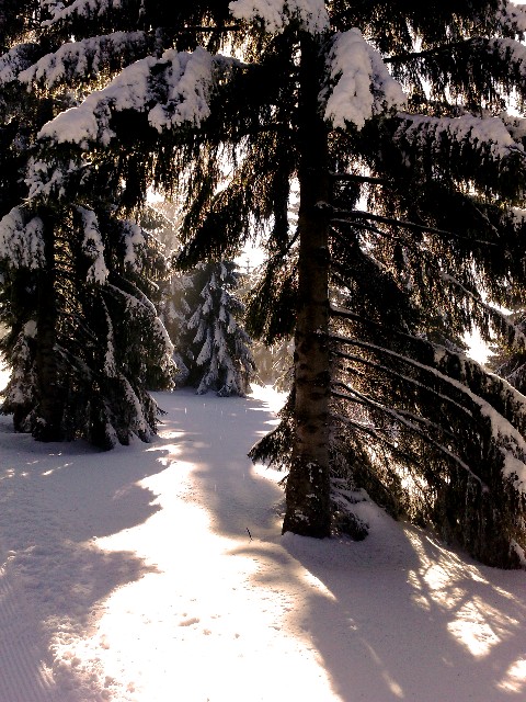 Czechia, Bozi Dar, 04.02.2009