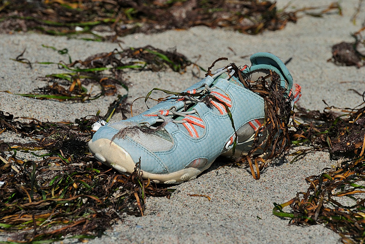 Dänemark Sportschuh 
(155) 01