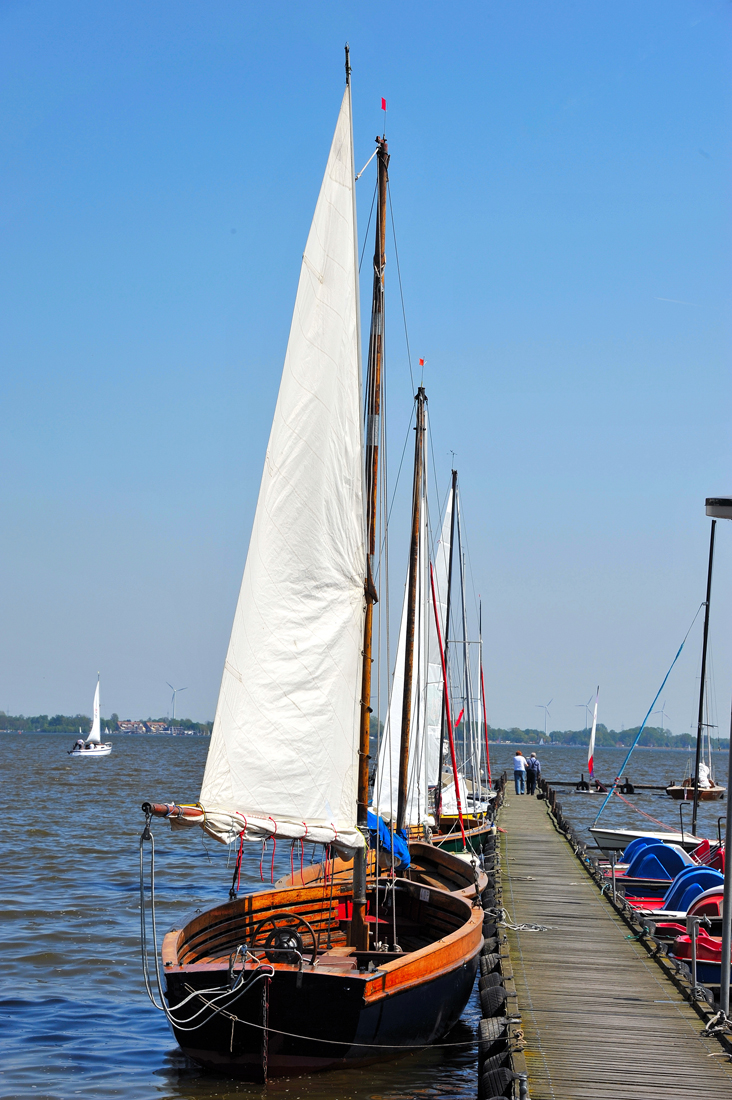 Dümmer See.jpg
