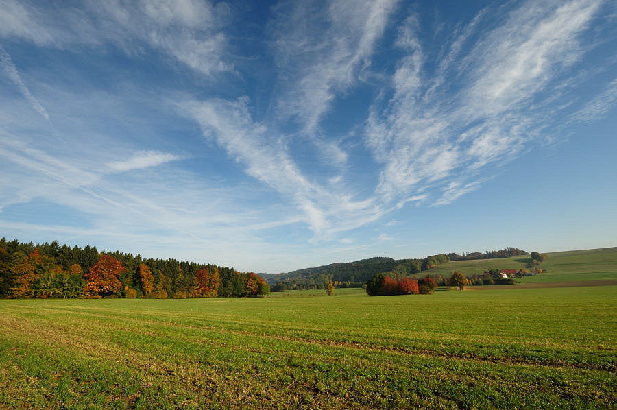 D03 2082