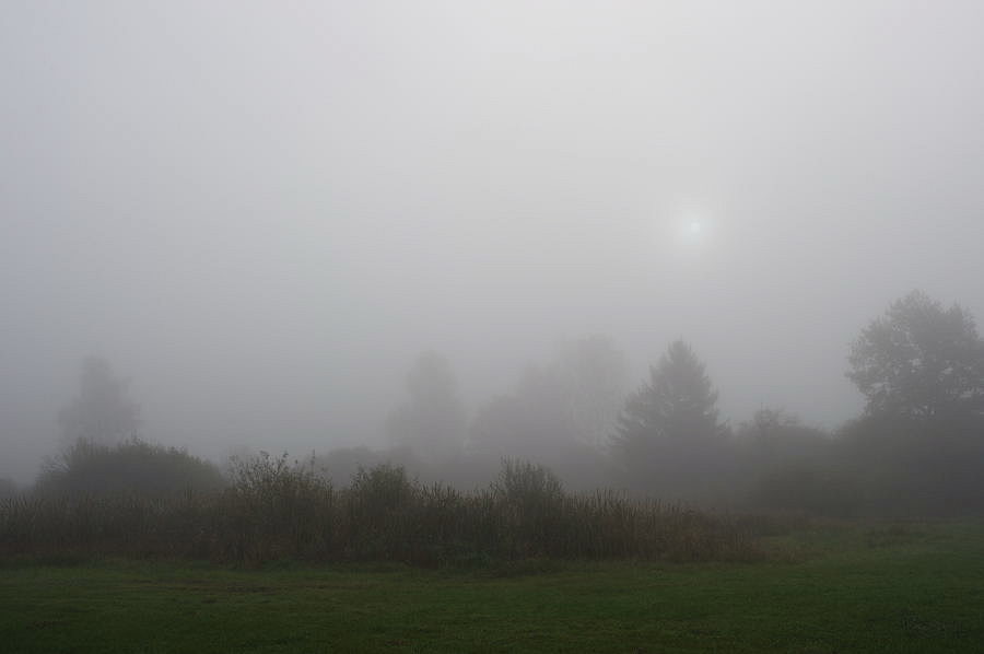 D03 2154