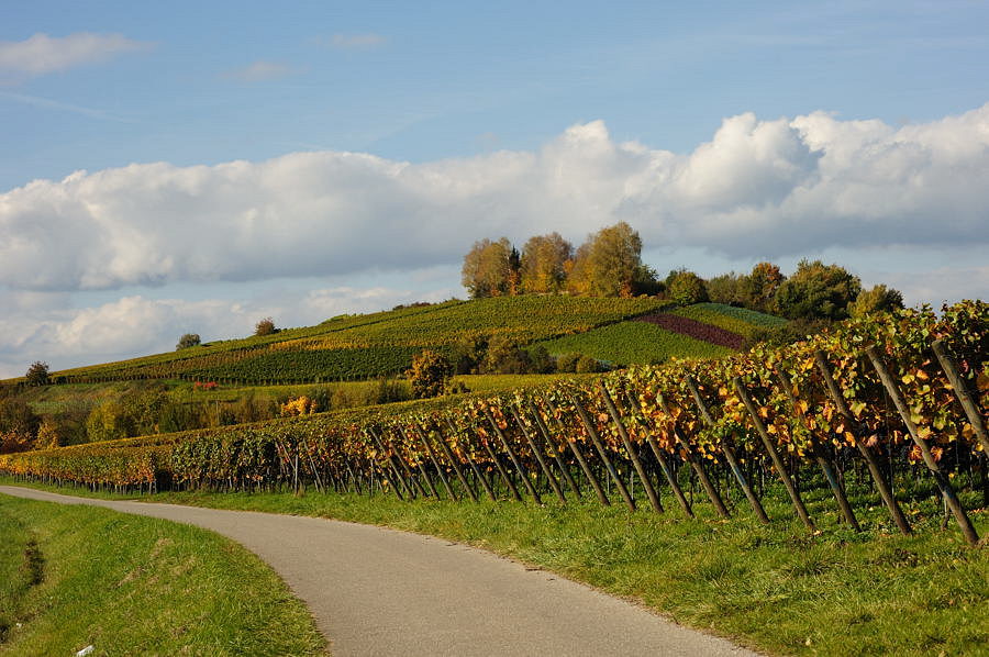 D03 2542