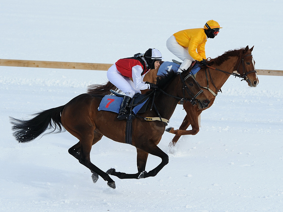 D03 5240