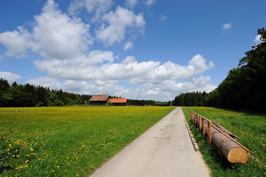 D03 8784