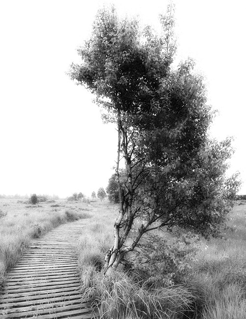 D091622