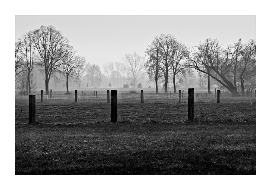 D2X 2800 online