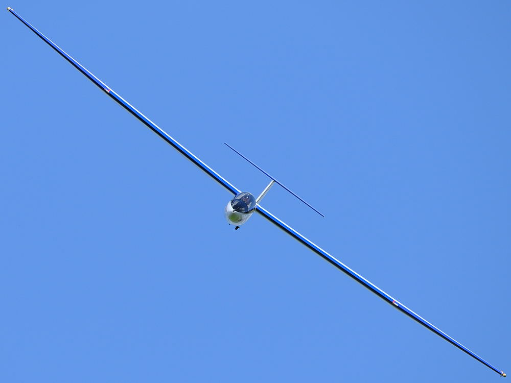 D30 0010 copy