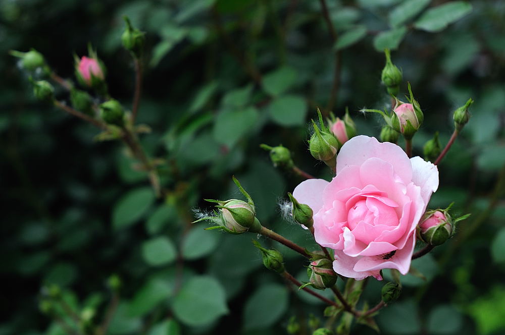 D30 5580 copy