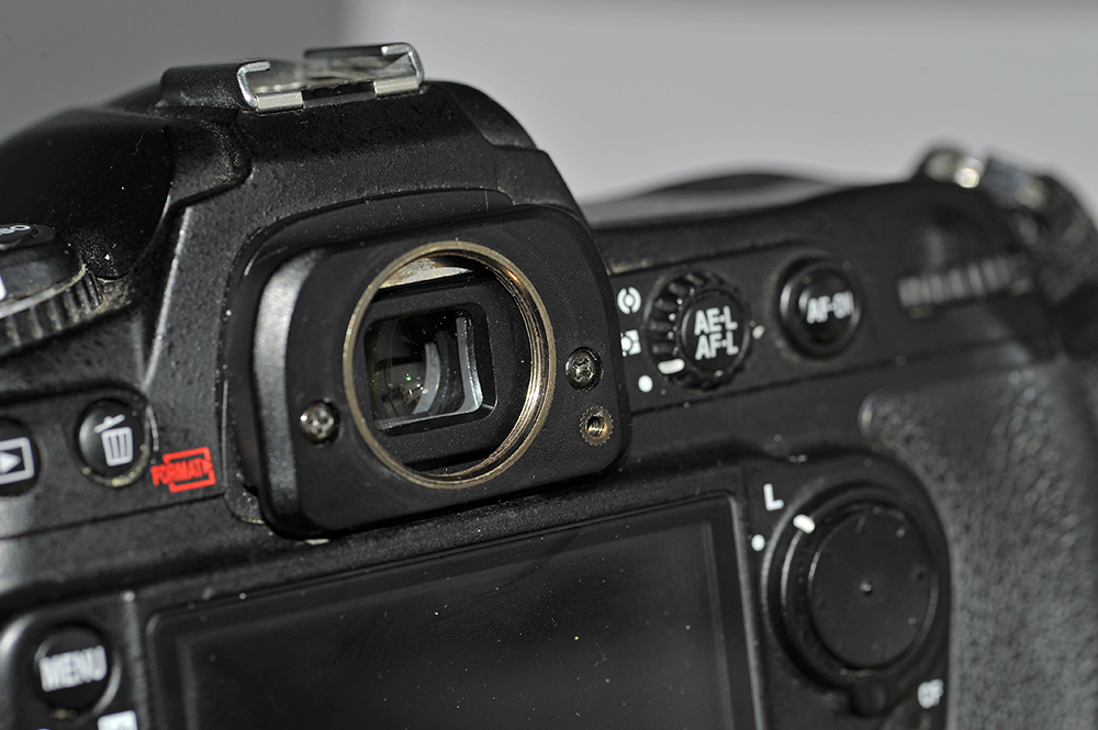 D300 + 22mm (7007030x)