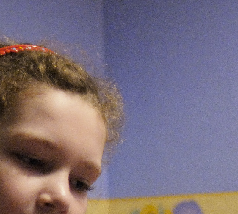 D300 ISO1800 100% Crop