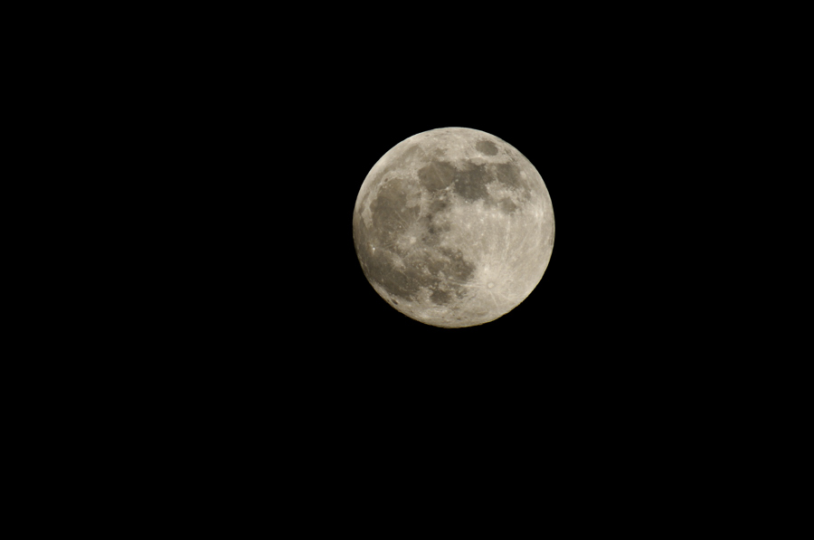 D300 mit Ai-S 600/4